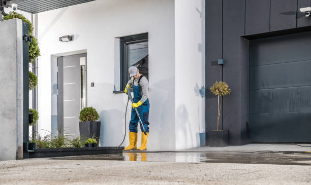 Best Roof Cleaning and Mildew Removal in Suffolk, VA